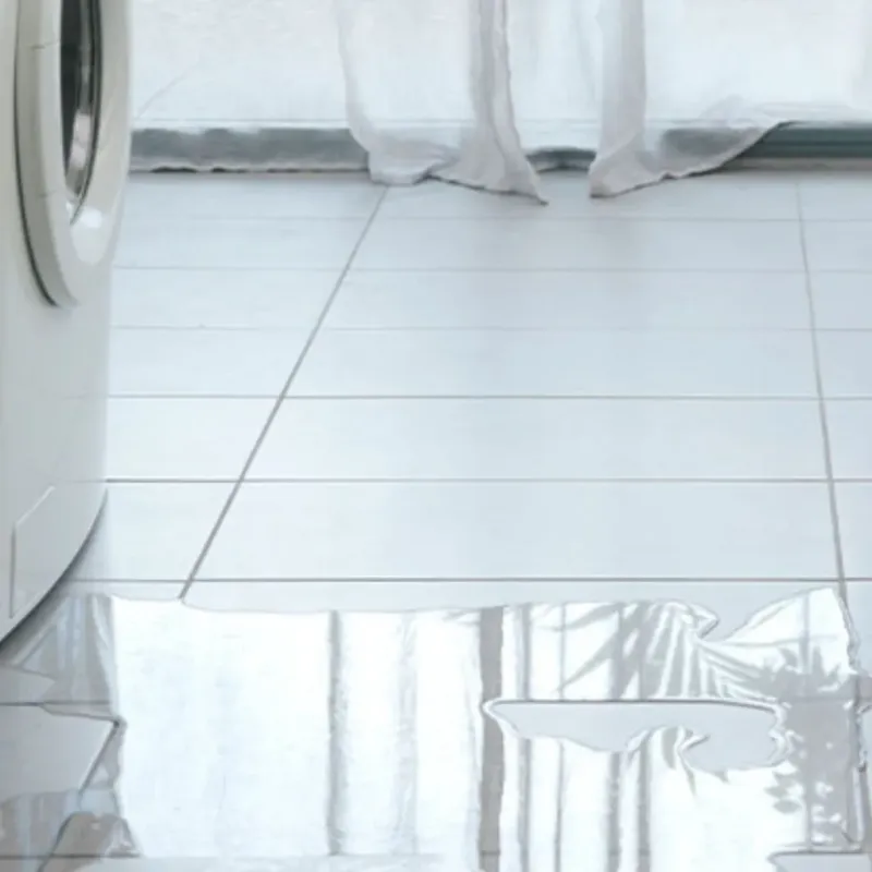 Appliance Leak Cleanup in Winston County, MS