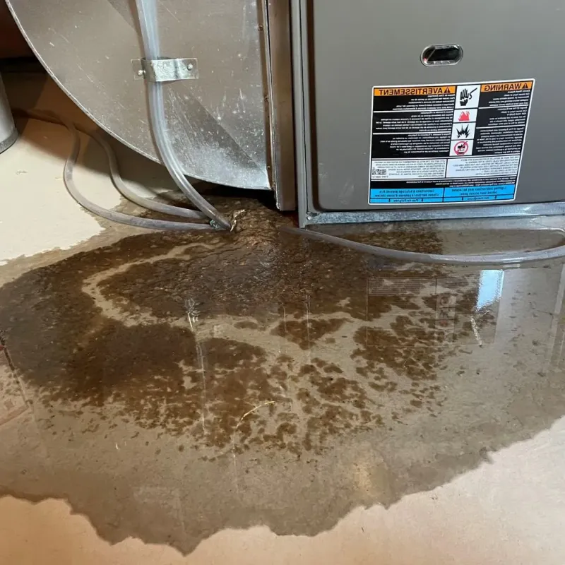 Pipe Burst and Leak Restoration in Winston County, MS