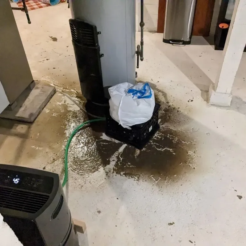 Sewage Backup Cleanup Service in Winston County, MS